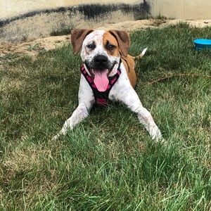 Meet your Posher, Alyssa